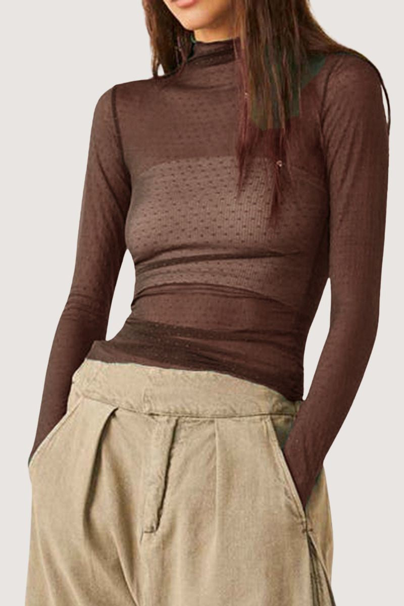 Sheer Turtleneck Blouse