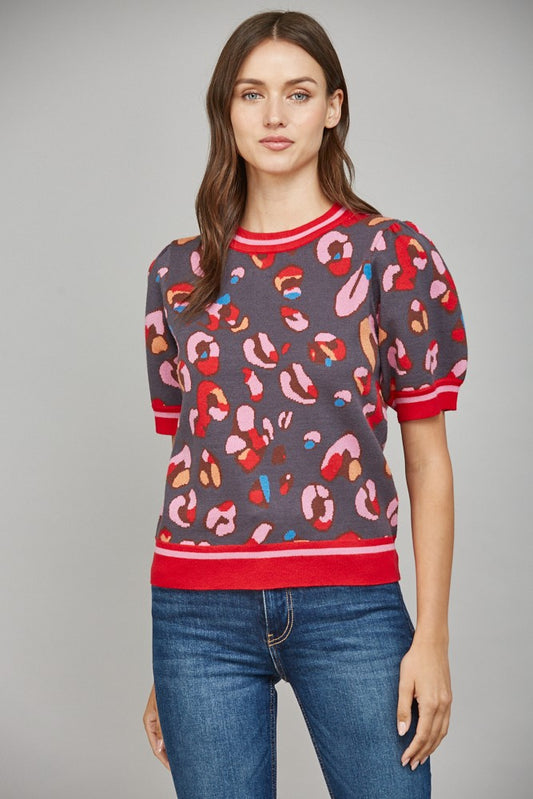 Mutli-Colored Short Sleeve Sweater