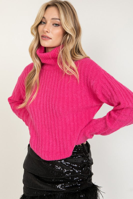 Dreamy Turtle Neck Sweater