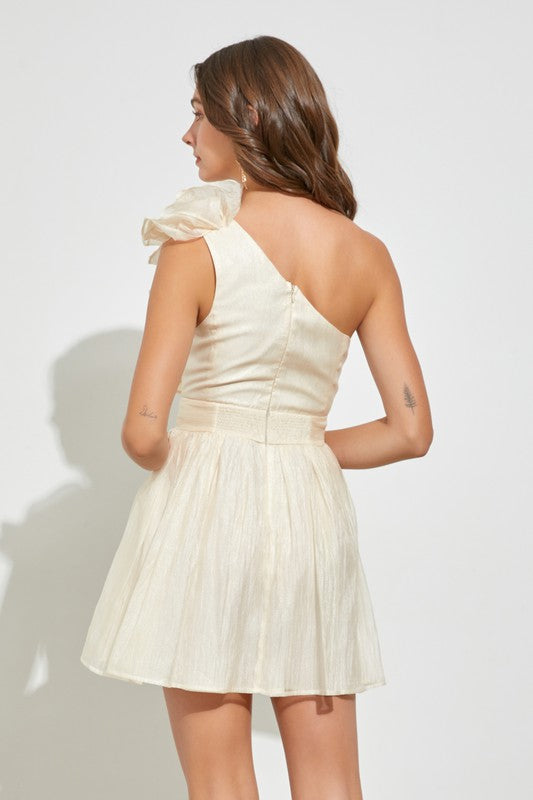 One Shoulder Ruffle Dress