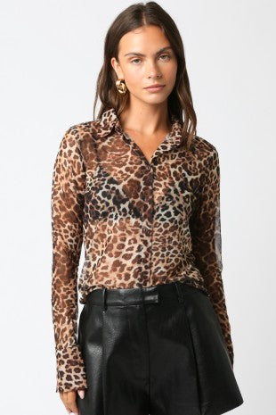Rachel Leopard Mesh Top