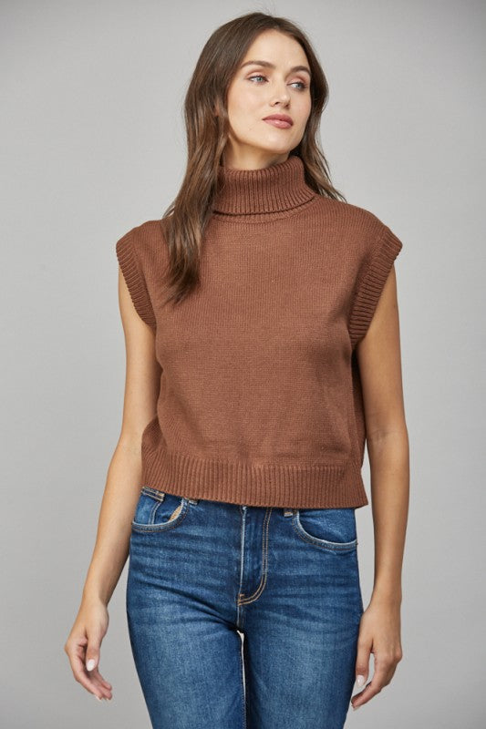 Fall Turtle Neck Vest