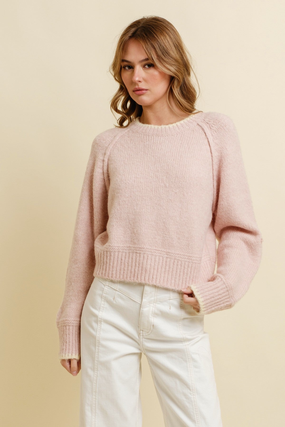 Rib Trim Pullover Sweater