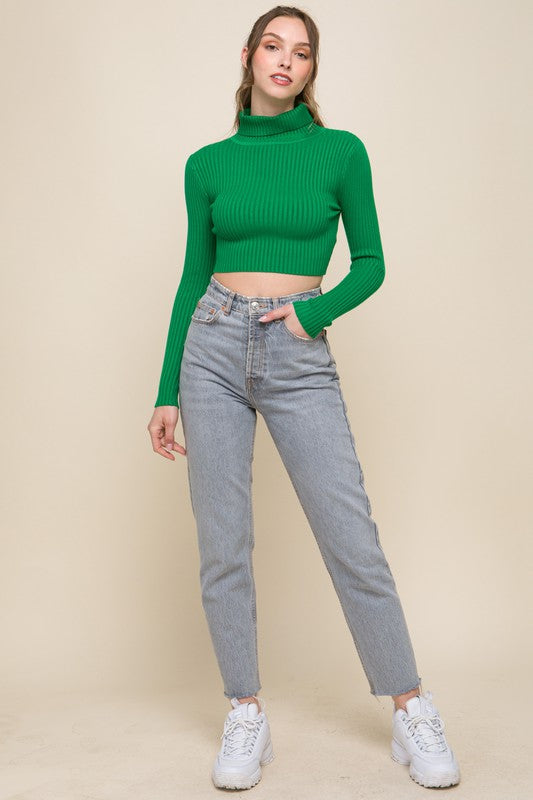 Turtleneck Ribbed Knit Sweater Top