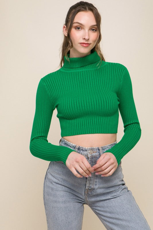 Turtleneck Ribbed Knit Sweater Top