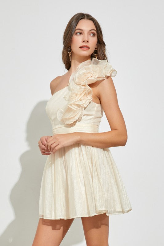 One Shoulder Ruffle Dress