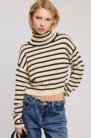 Striped Turtleneck Sweater