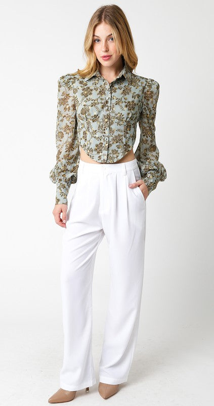 Princess Sleeve Cropped Button Up