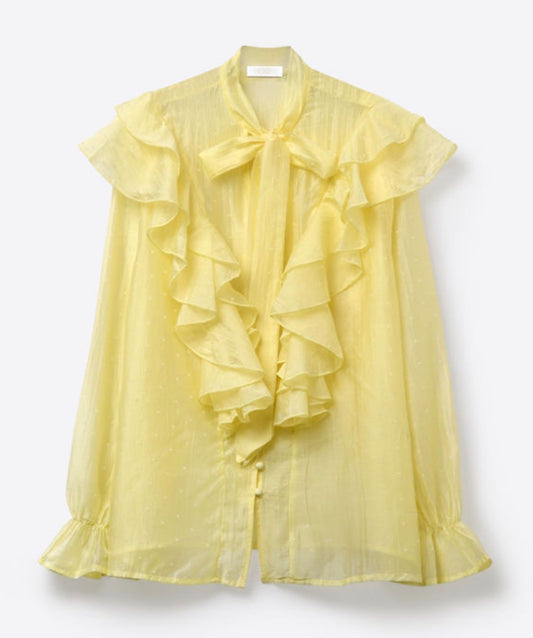 Sheer Ruffle Button Down Blouse