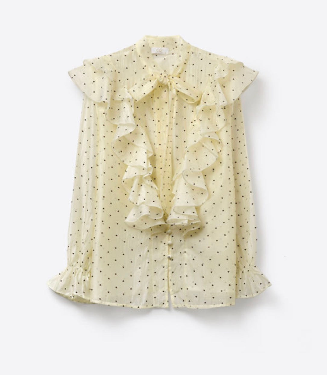 Sheer Ruffle Button Down Blouse