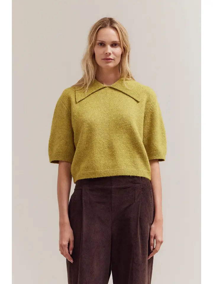 Short Sleeve Collar Knit Top